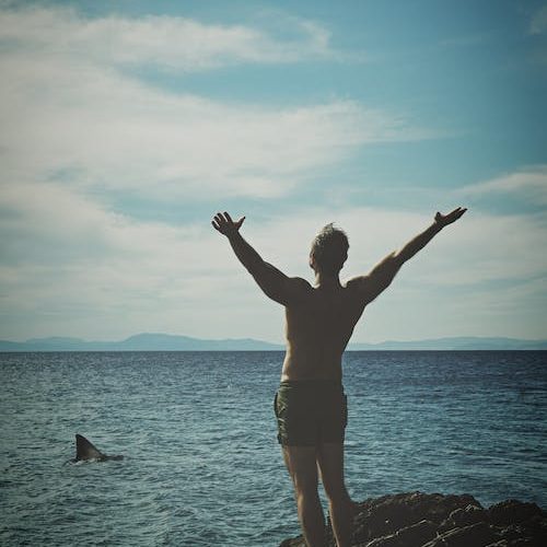 Le requin de la planète, l’être humain !