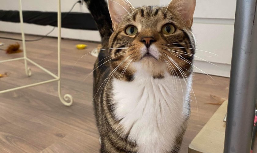 Lettre à mon entourage