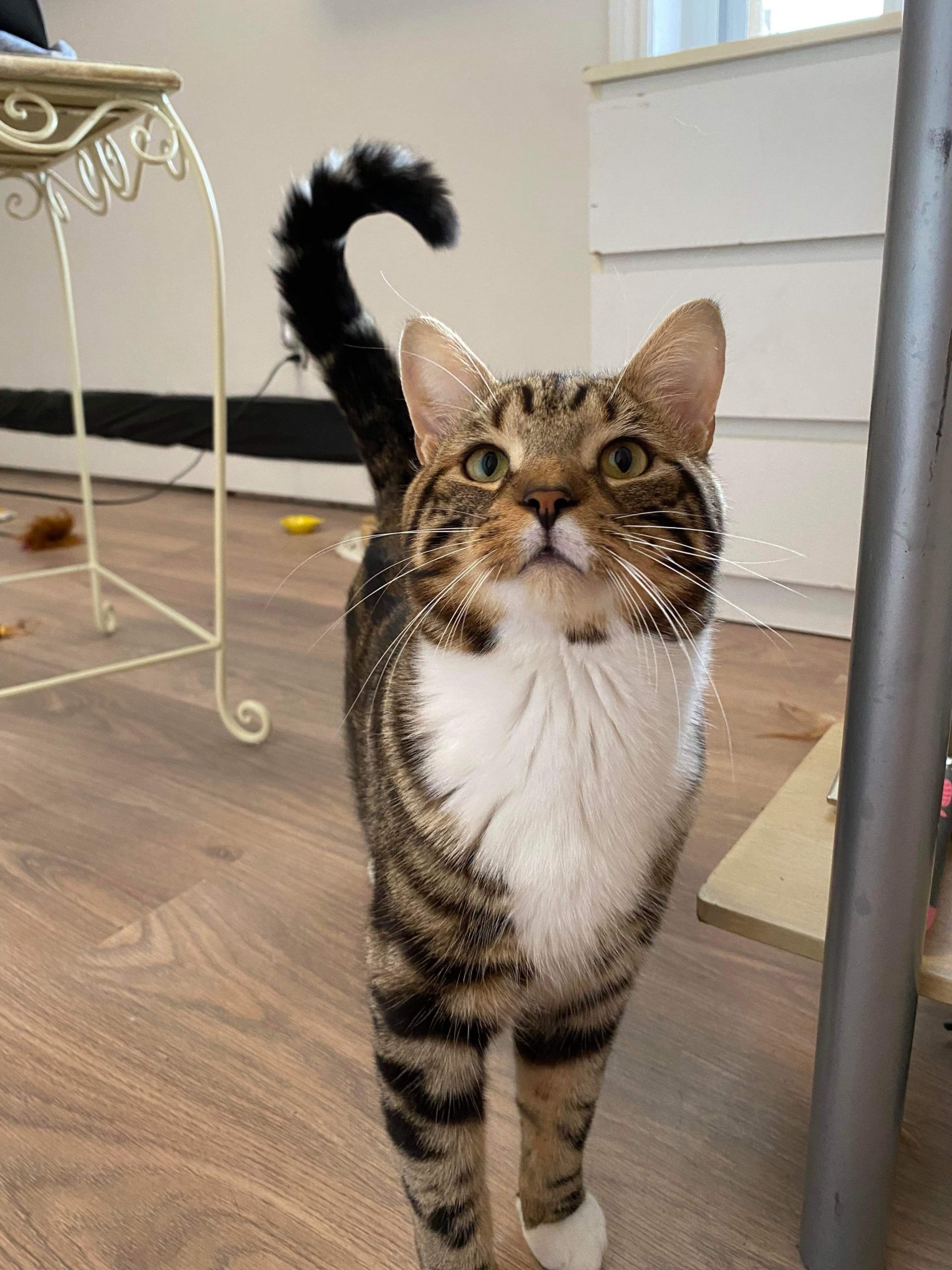 Lettre à mon entourage